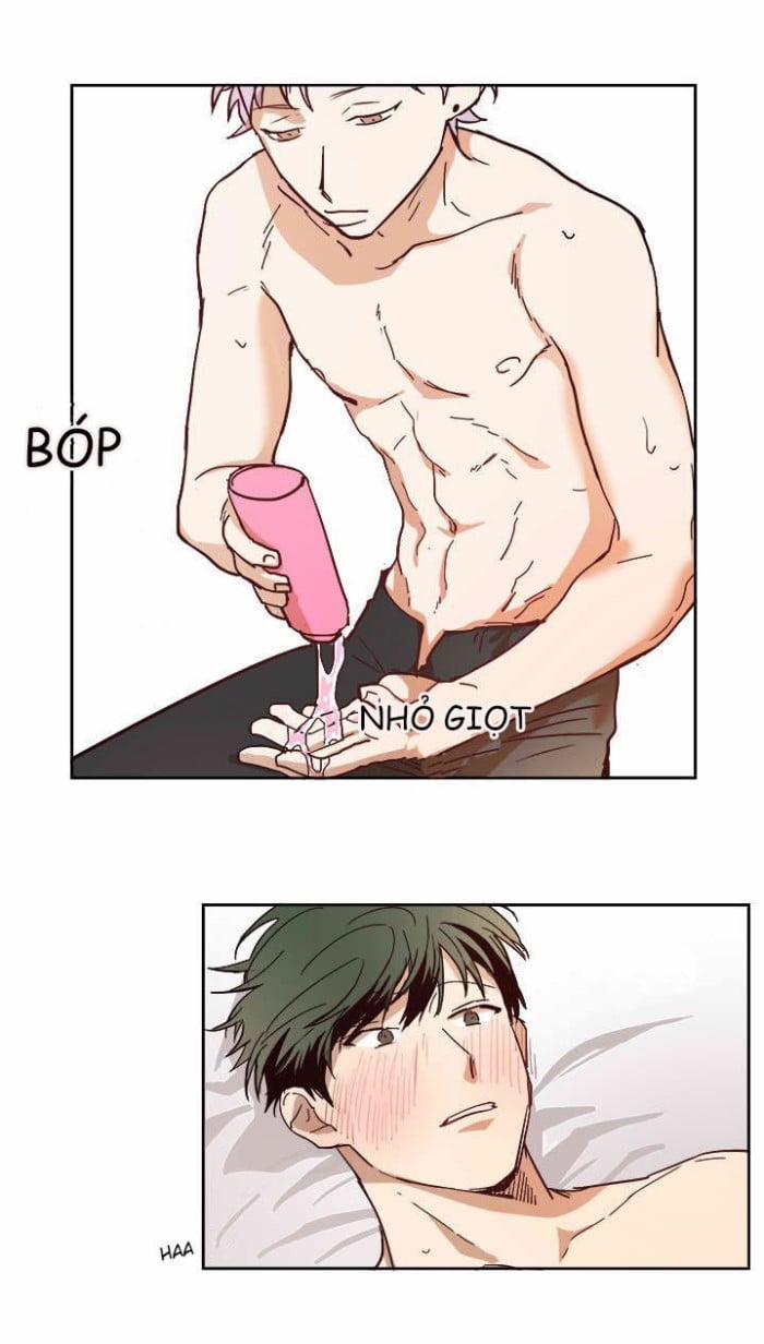 Mối Quan Hệ Lý Tưởng 4 trang 8