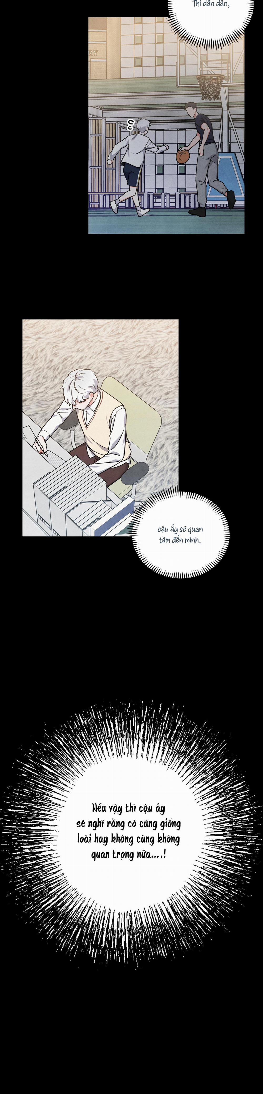 MỐI QUAN HỆ NGU NGỐC 21 trang 12