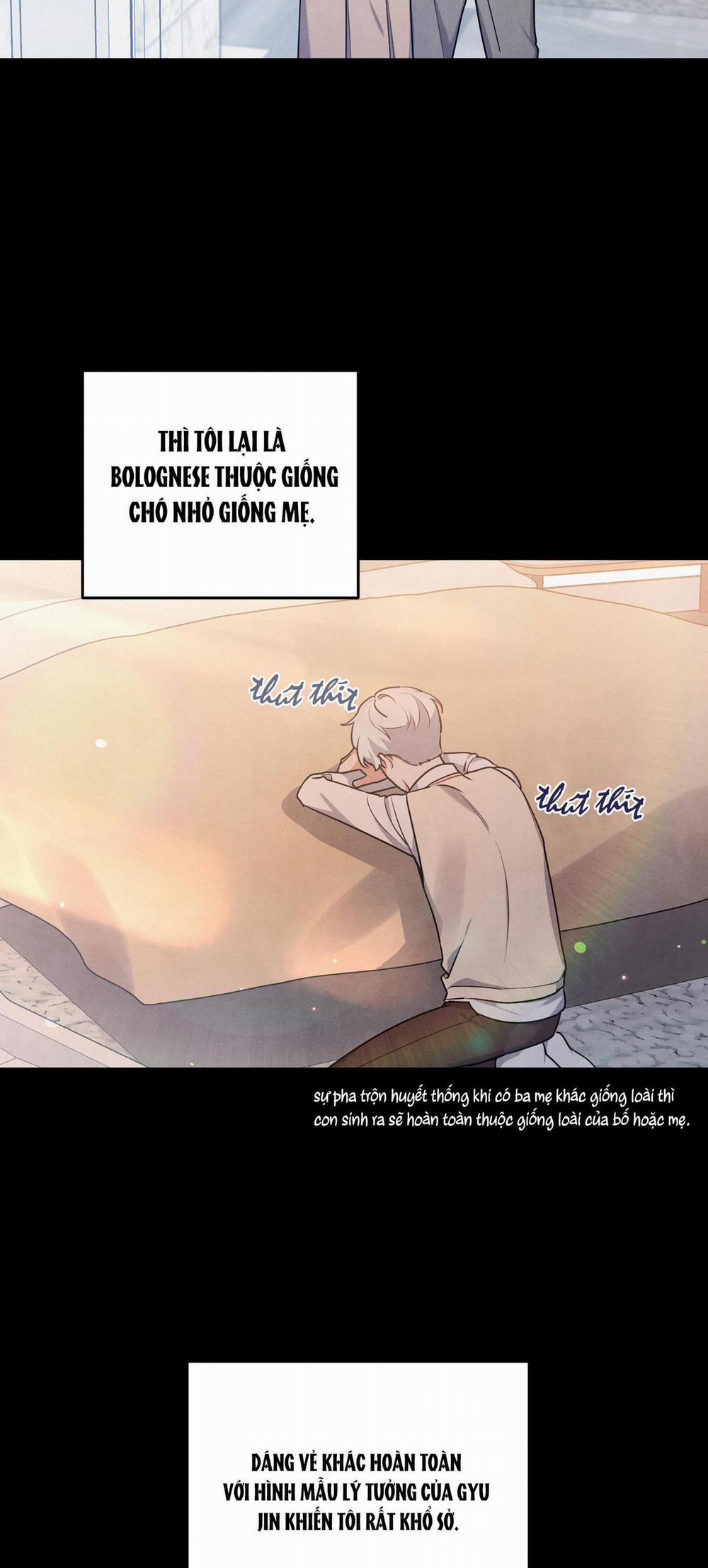 MỐI QUAN HỆ NGU NGỐC 21 trang 9