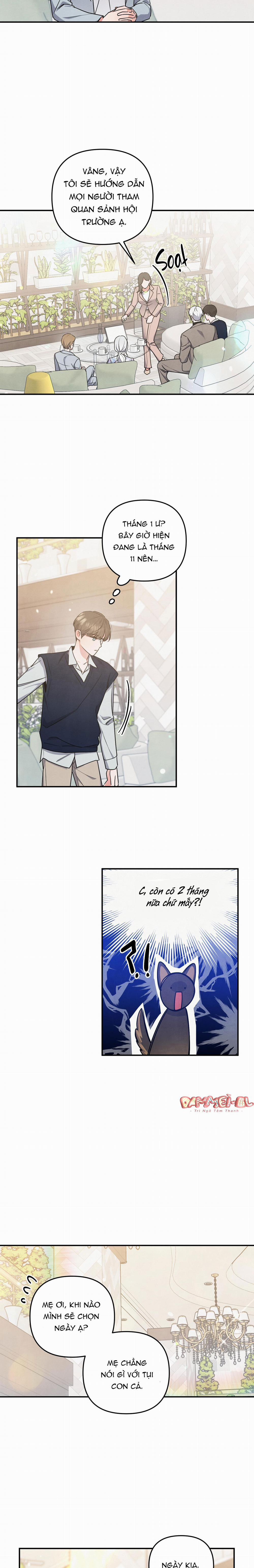 MỐI QUAN HỆ NGU NGỐC 23 trang 10