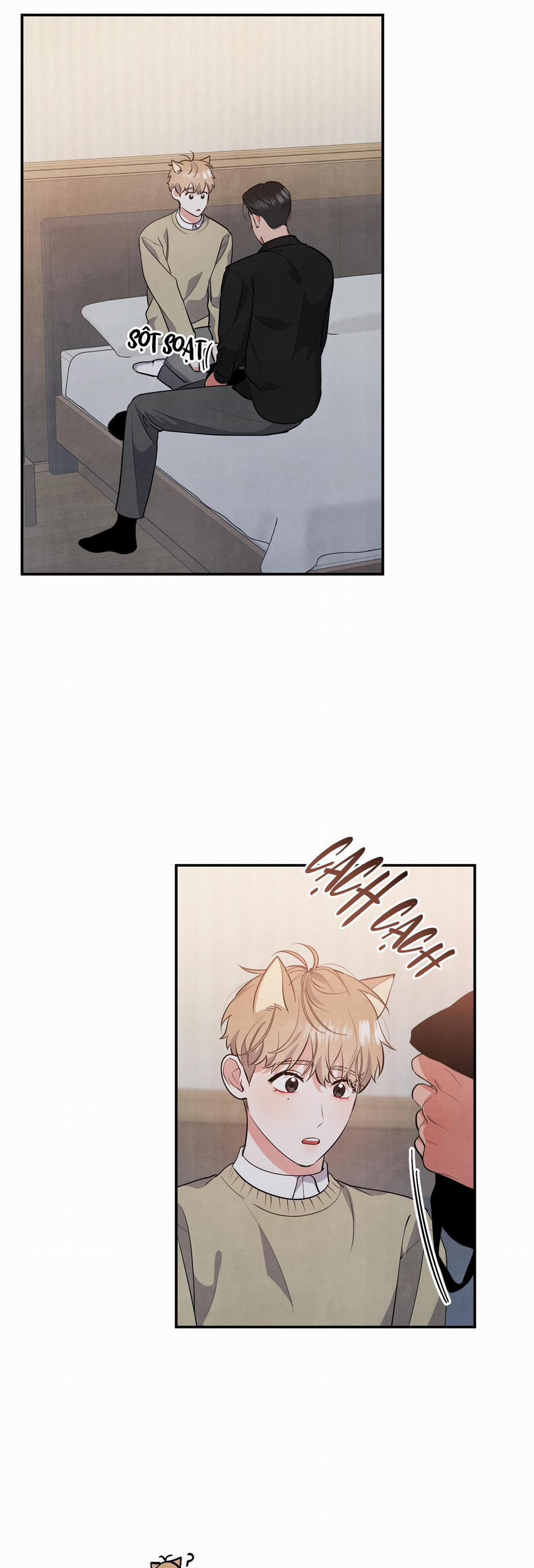 MỐI QUAN HỆ NGU NGỐC 47 44 trang 14