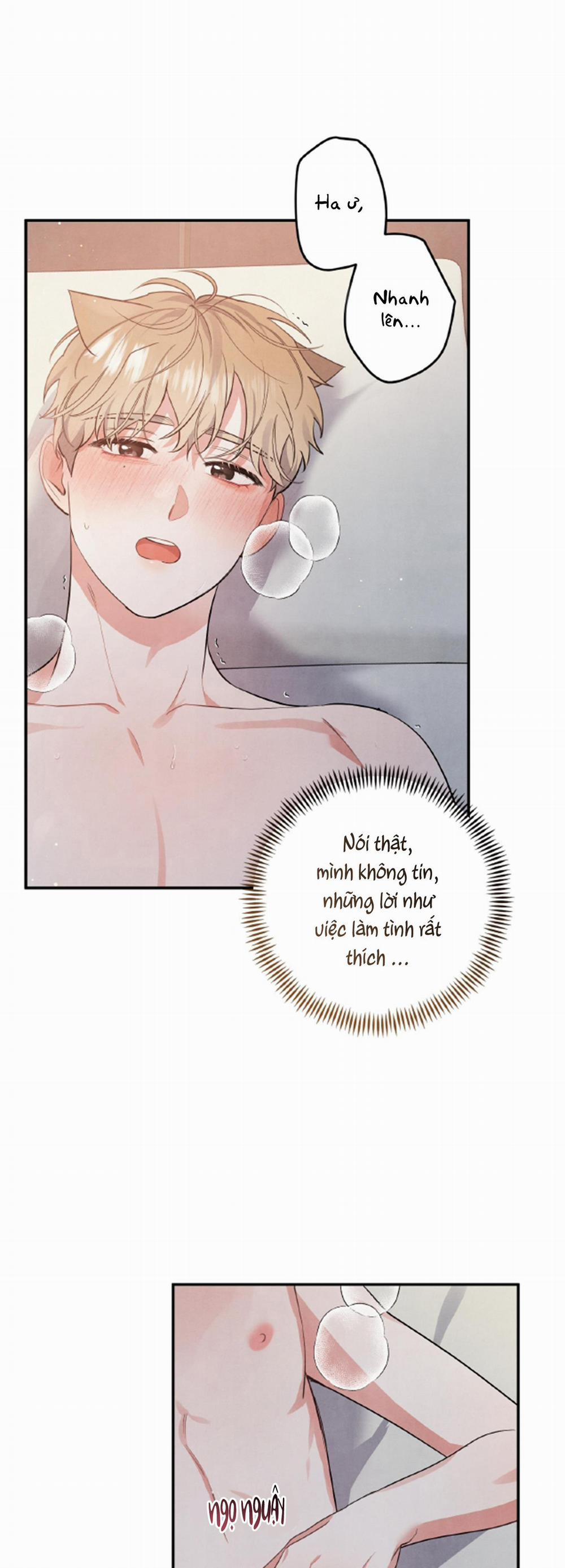 MỐI QUAN HỆ NGU NGỐC 48 45 trang 3