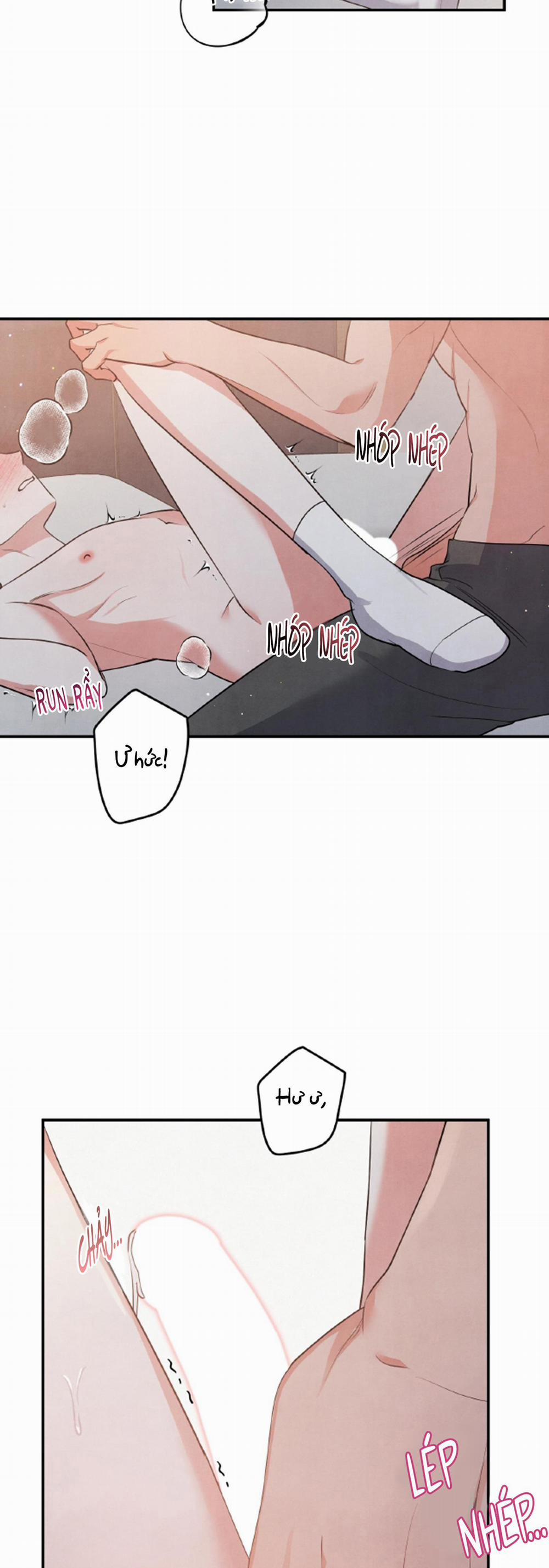 MỐI QUAN HỆ NGU NGỐC 48 trang 1