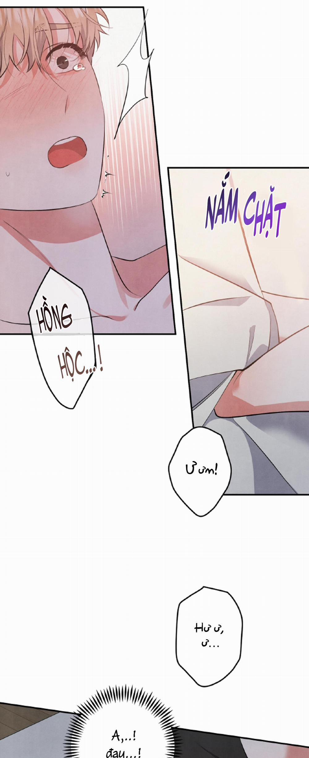 MỐI QUAN HỆ NGU NGỐC 48 trang 13