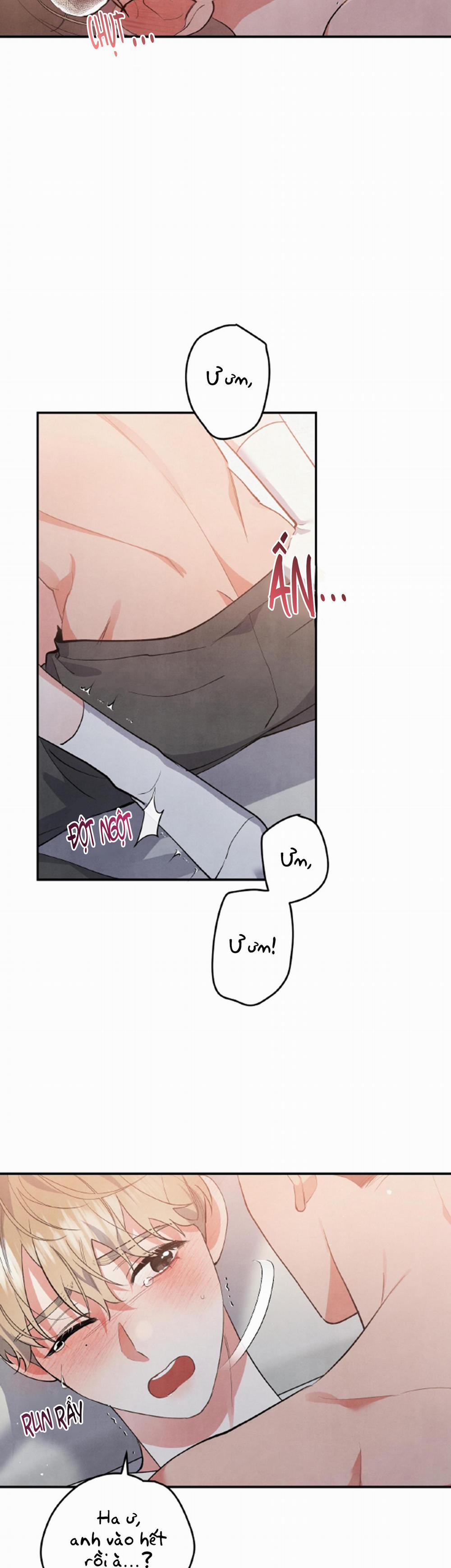 MỐI QUAN HỆ NGU NGỐC 48 trang 15