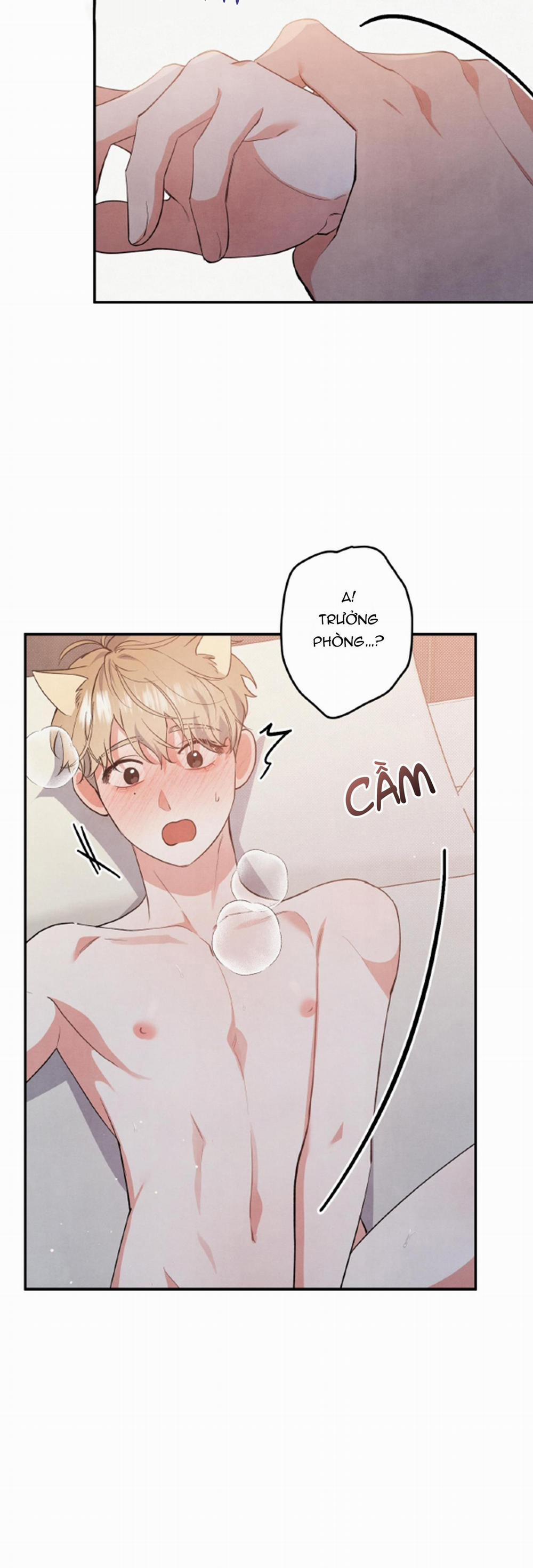 MỐI QUAN HỆ NGU NGỐC 48 trang 23