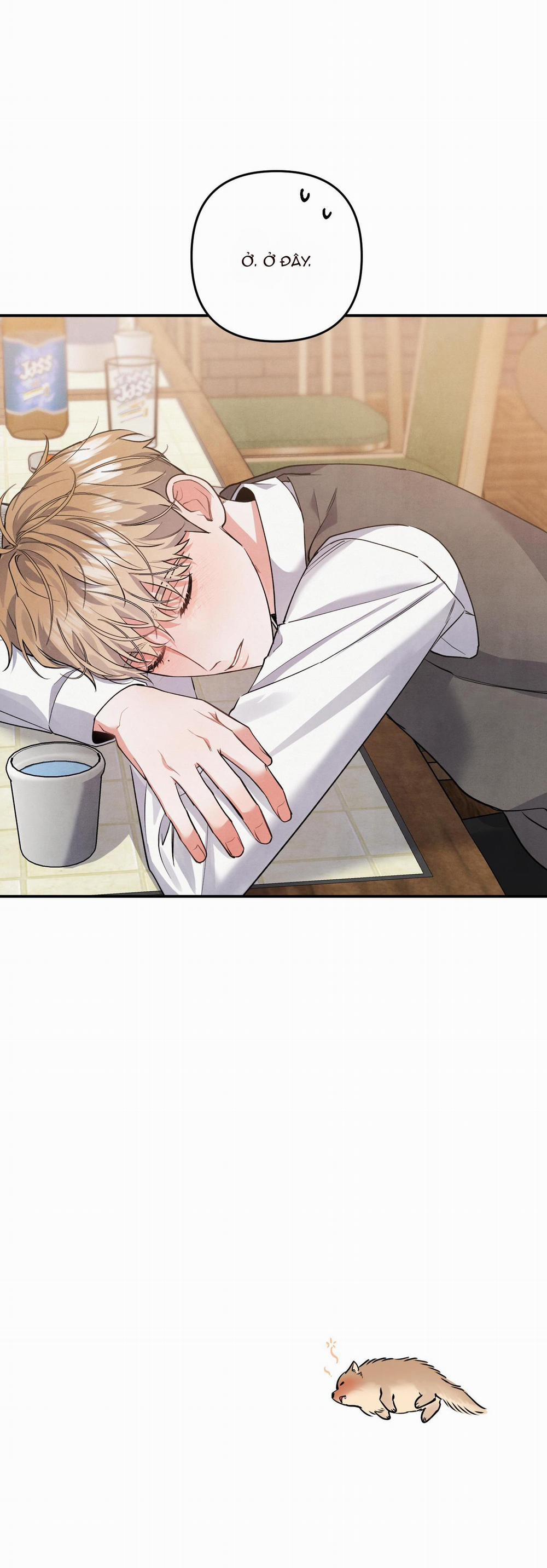 MỐI QUAN HỆ NGU NGỐC 50 trang 39