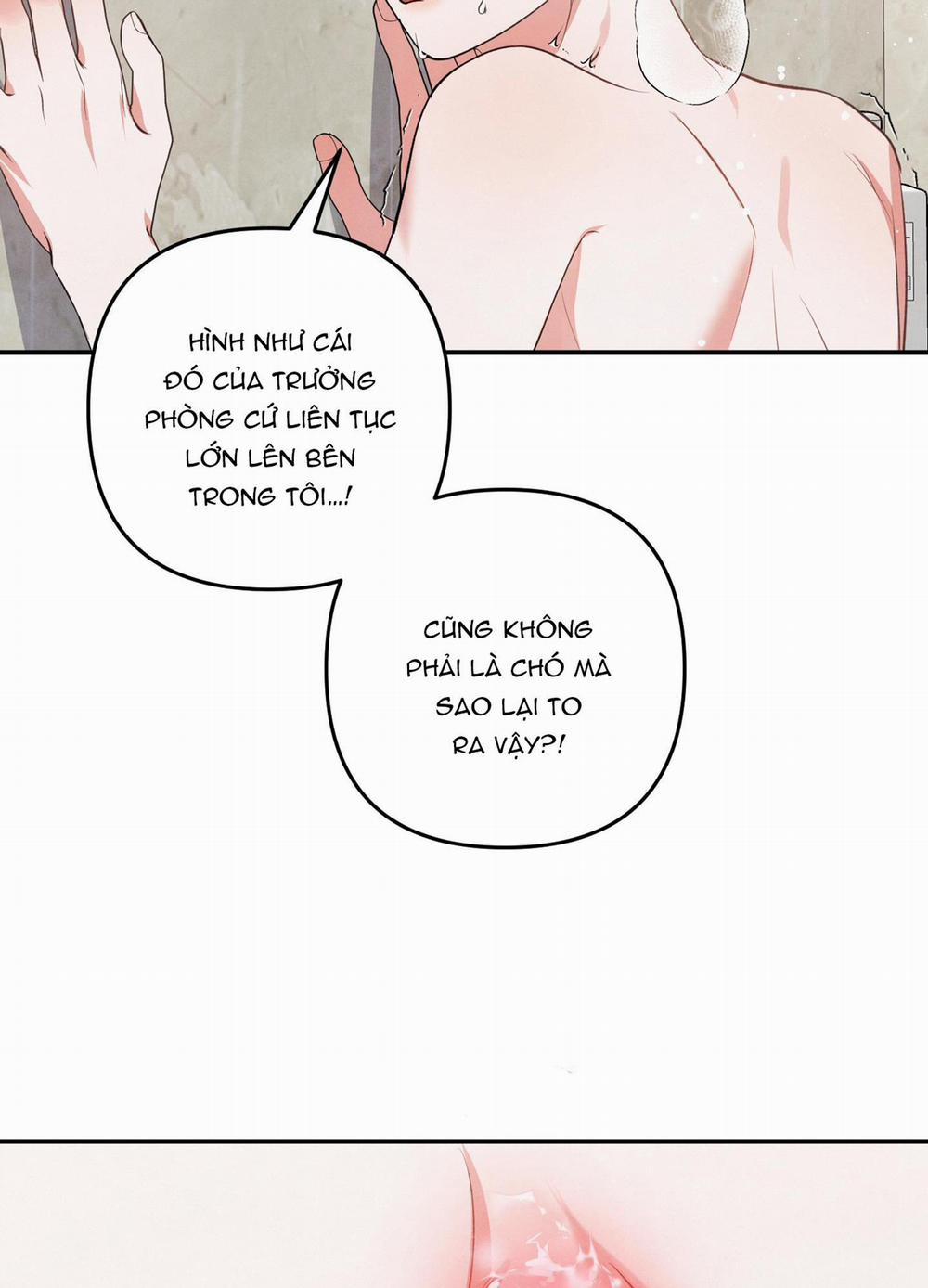 MỐI QUAN HỆ NGU NGỐC 52 trang 21