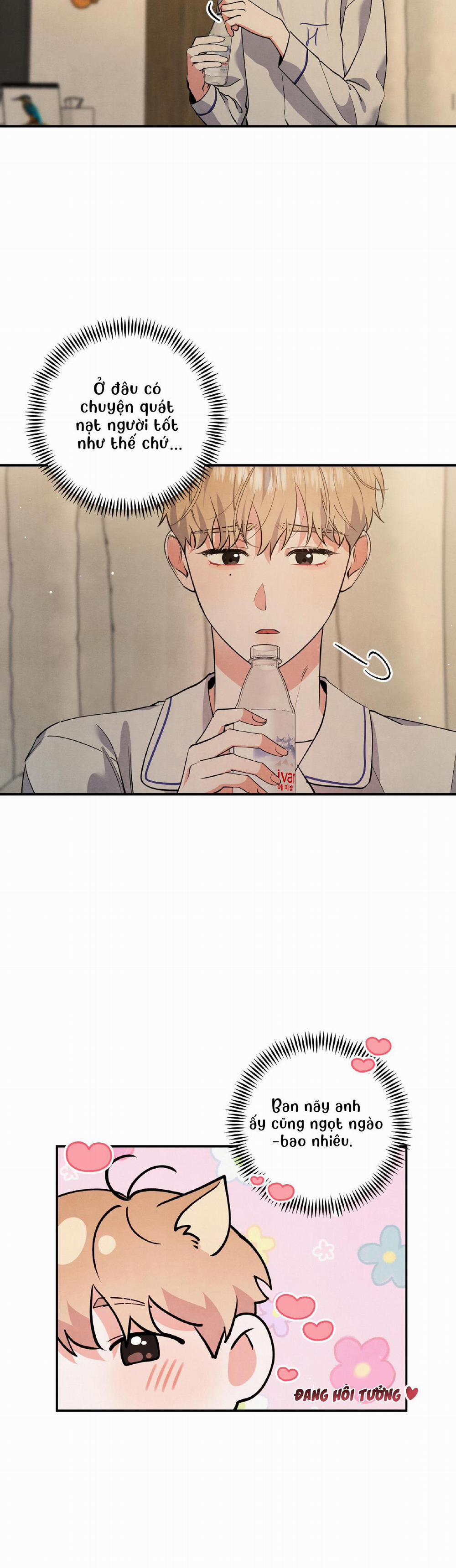 MỐI QUAN HỆ NGU NGỐC 53 50 trang 8