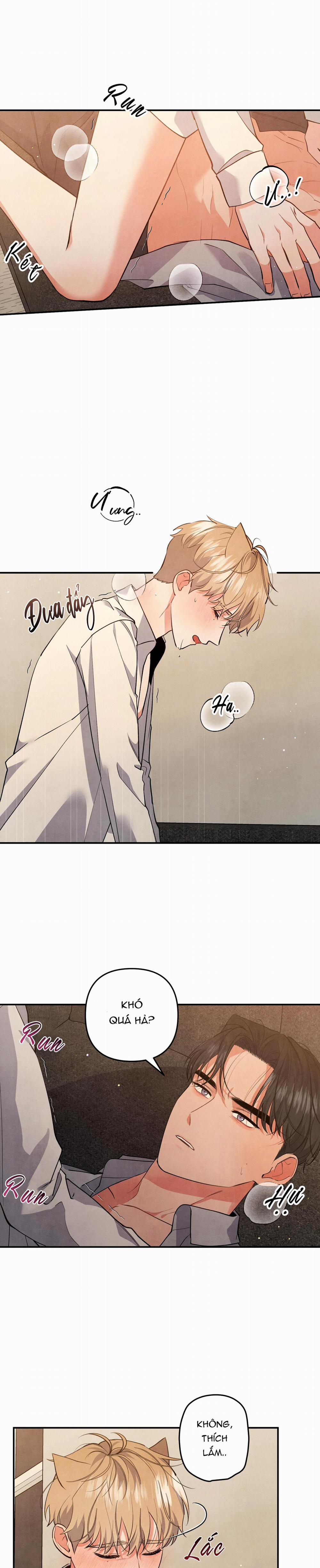 MỐI QUAN HỆ NGU NGỐC 55 52 trang 18