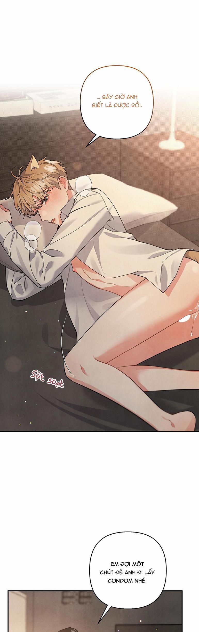 MỐI QUAN HỆ NGU NGỐC 62 trang 11