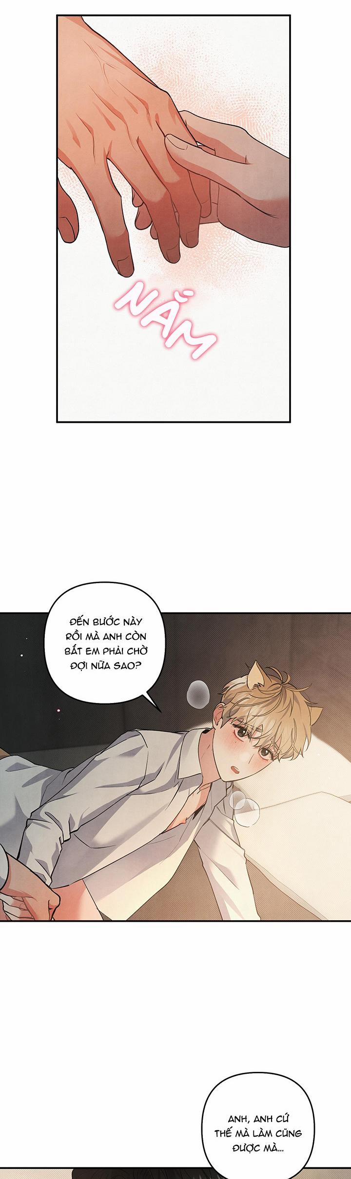 MỐI QUAN HỆ NGU NGỐC 62 trang 13