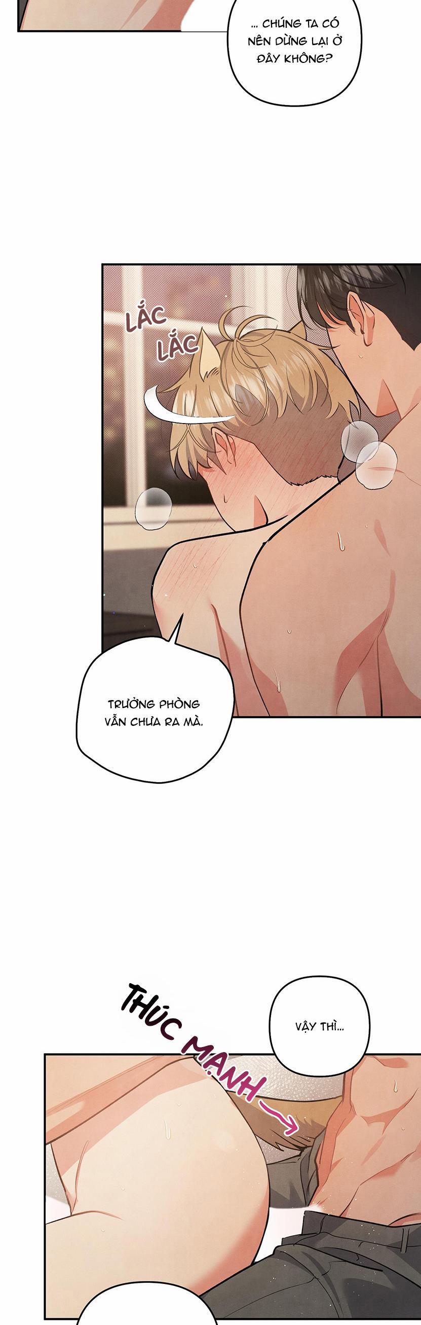 MỐI QUAN HỆ NGU NGỐC 62 trang 24