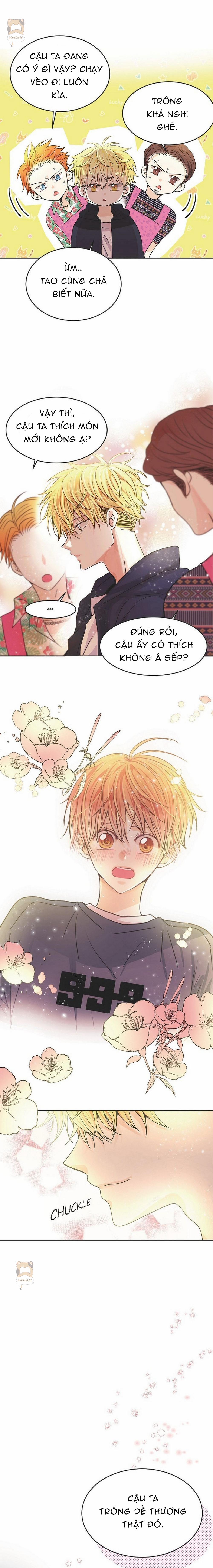 Mối Quan Hệ Phù Hợp 3 trang 11