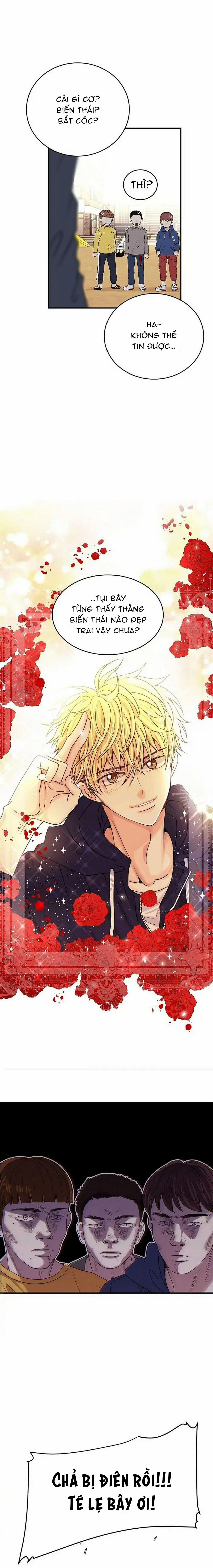 Mối Quan Hệ Phù Hợp 4 trang 8