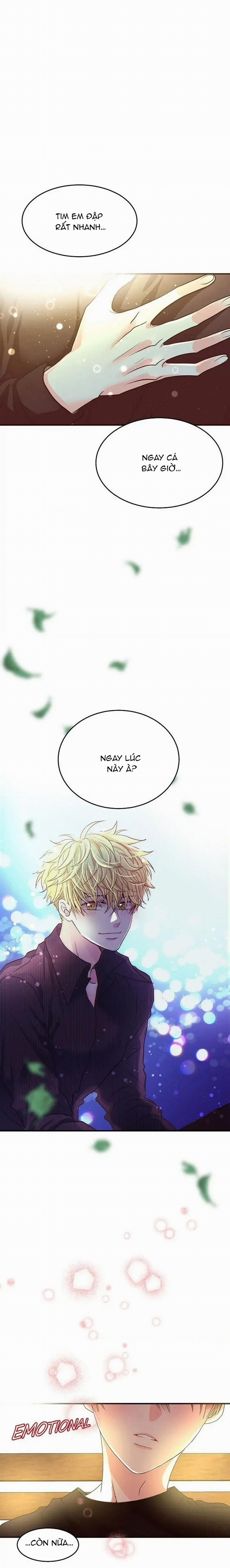 Mối Quan Hệ Phù Hợp 8 trang 17