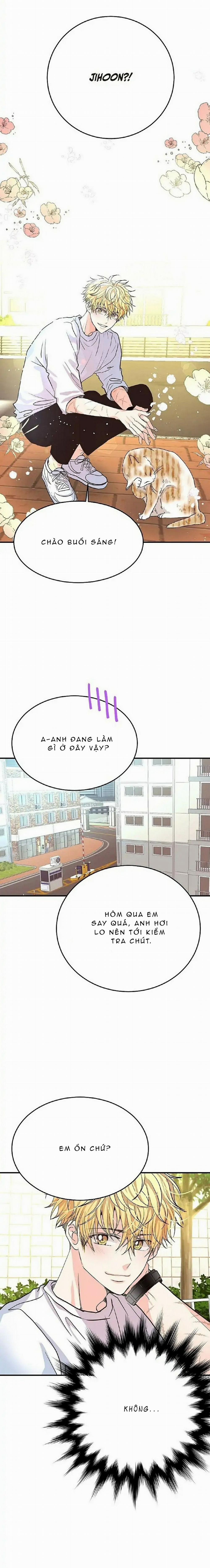 Mối Quan Hệ Phù Hợp 9 trang 19