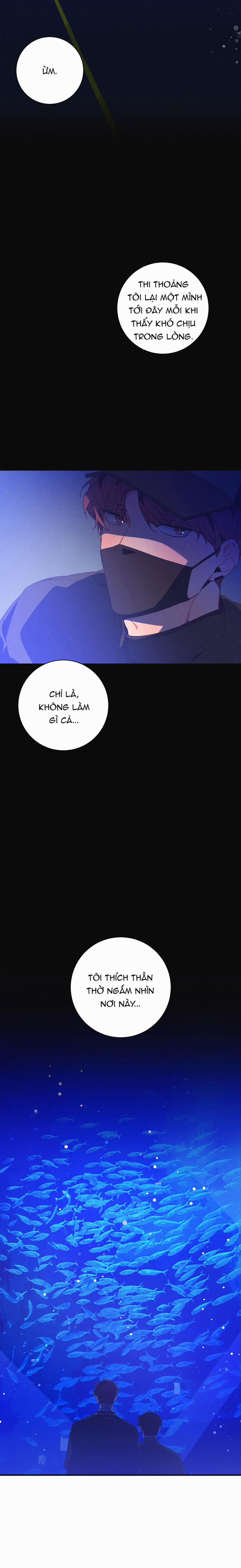 Mối Quan Hệ Thiết Yếu 16 trang 14