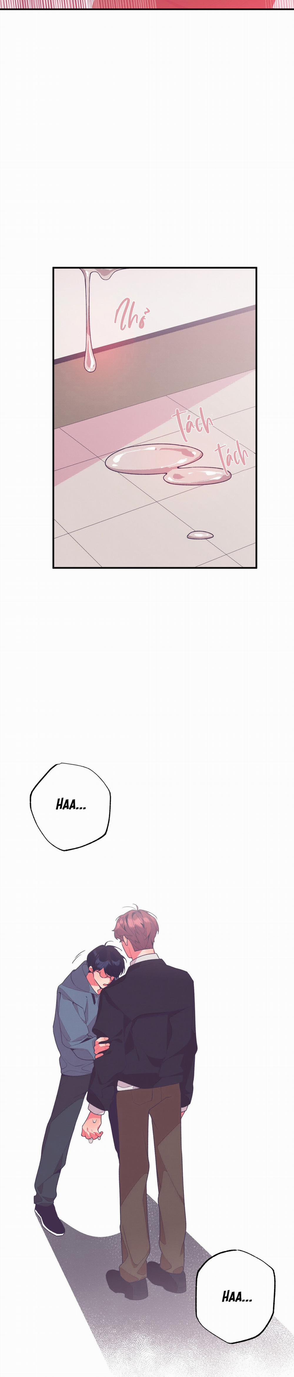 Mối Quan Hệ Thiết Yếu 6 trang 26