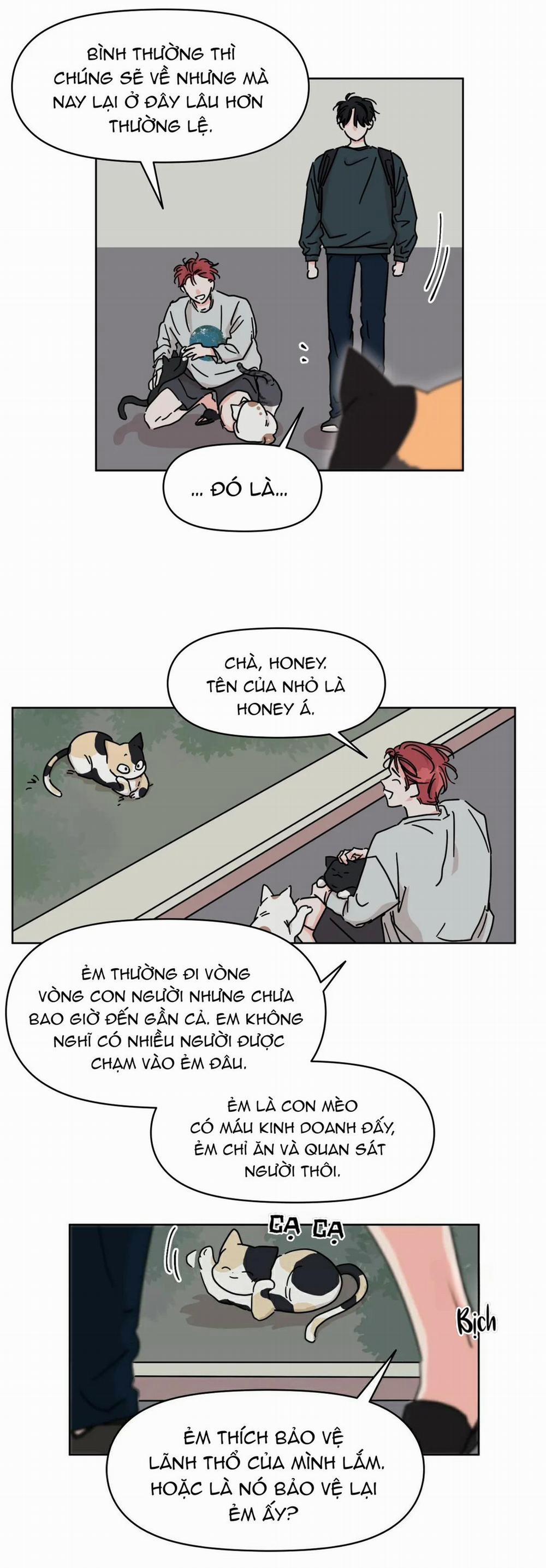 Mối Quan Hệ Tưởng Tượng 34 trang 29