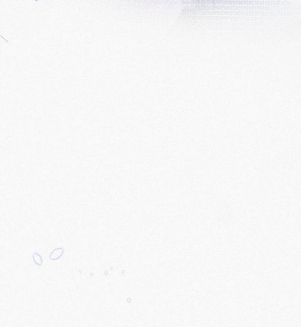 Môi Súng 57 trang 39