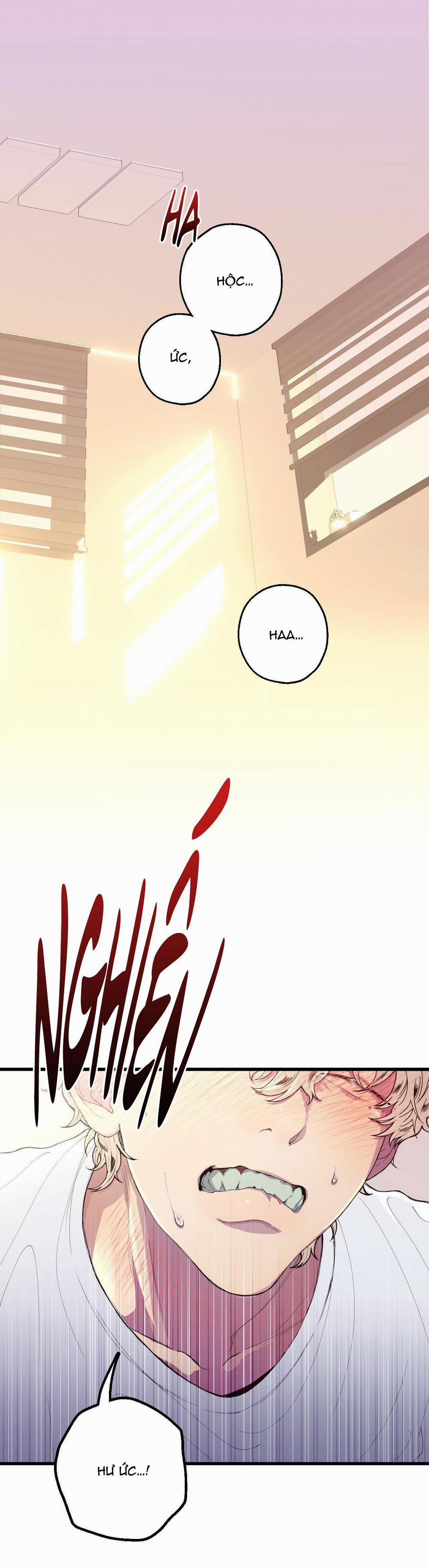 Mối Tình Bị Động 1 ngang raw trang 0