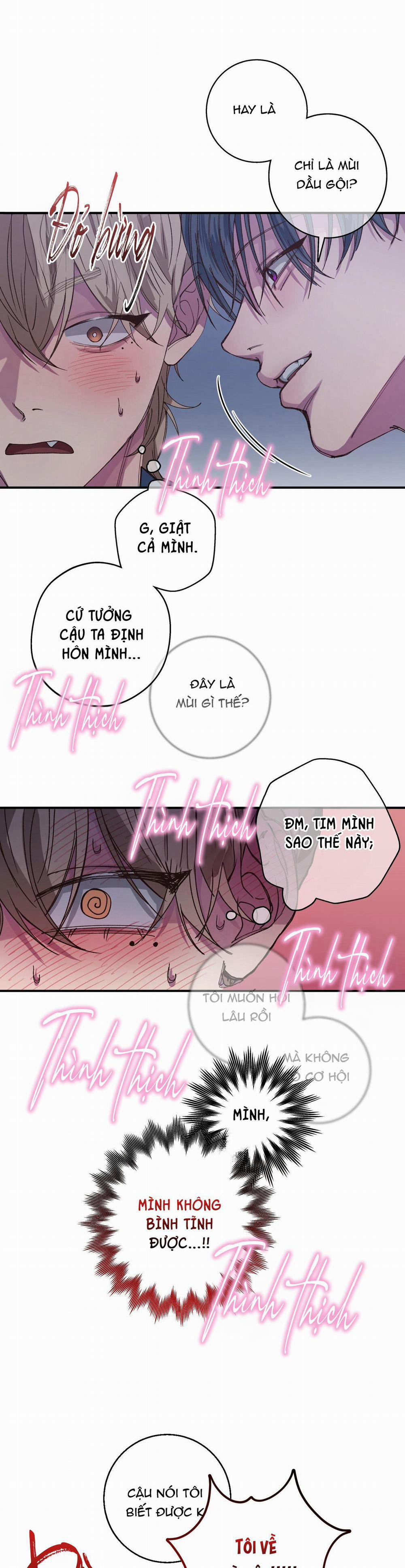 Mối Tình Bị Động 15 trang 26