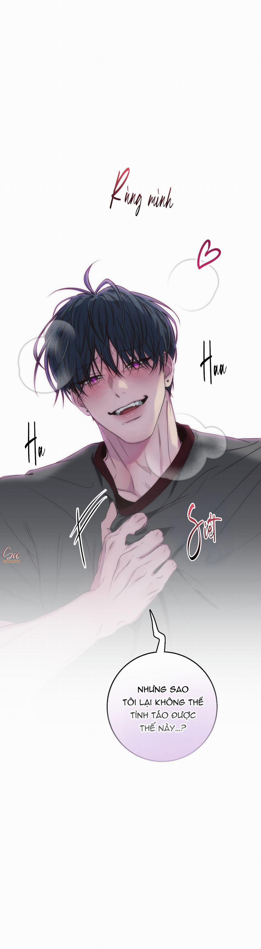 Mối Tình Bị Động 23 trang 1