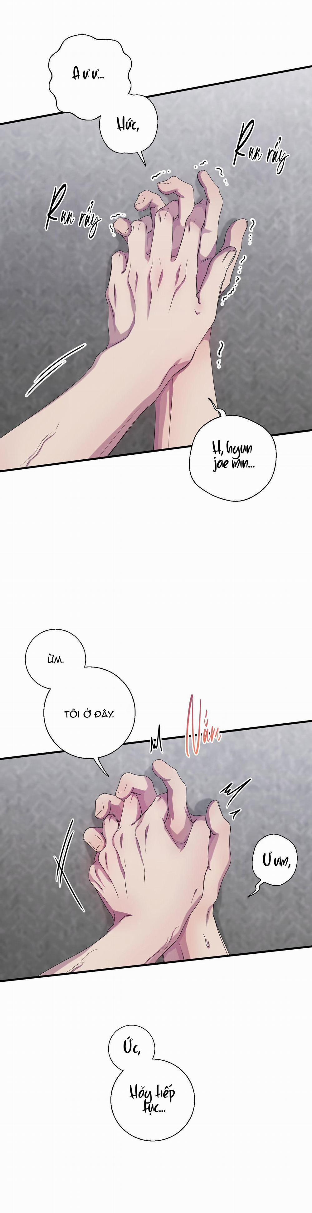 Mối Tình Bị Động 23 trang 20