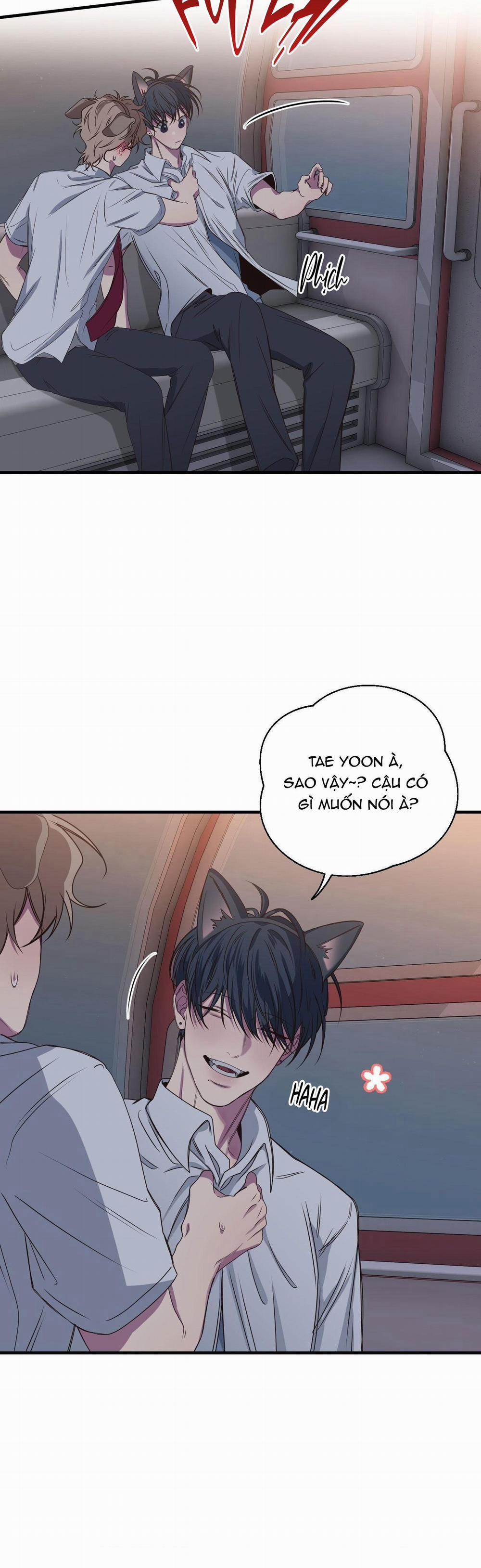 Mối Tình Bị Động 27 trang 6