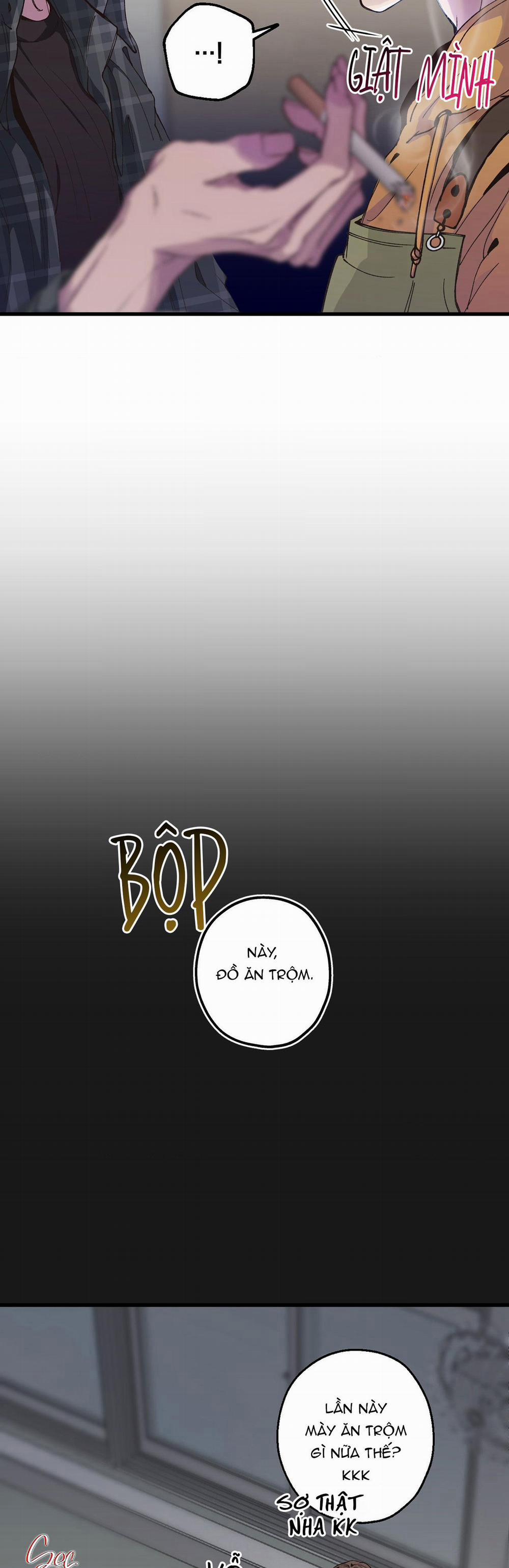 Mối Tình Bị Động 6 trang 14