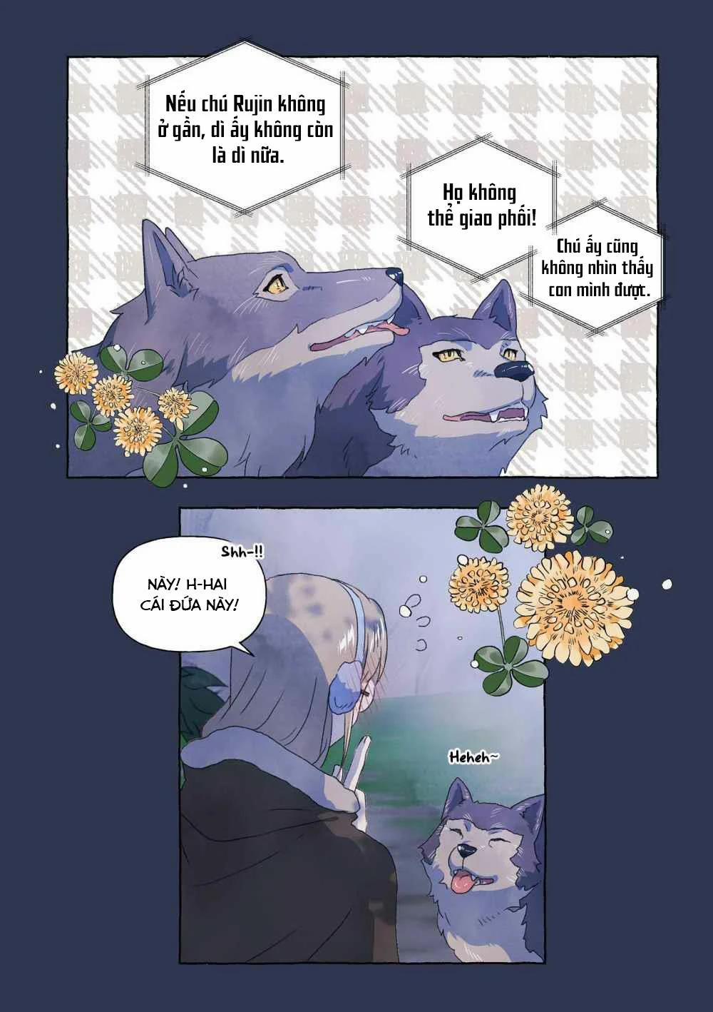 Mối Tình Đầu Của Chàng Sói Khờ 27 trang 15