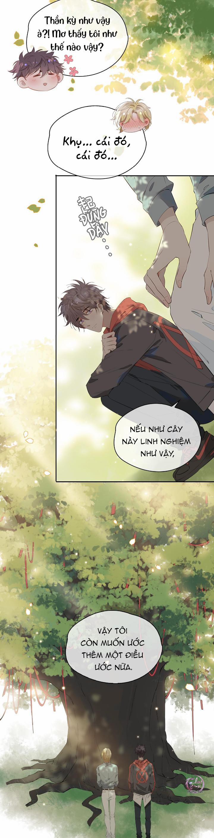 Mối Tình Đầu Của Hoàng Thái Tử (Drop) 72 trang 15