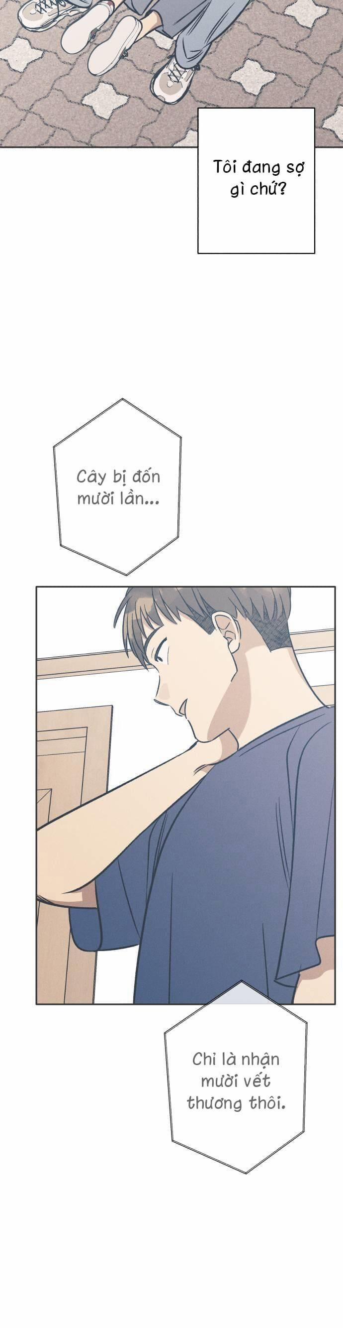 Mối Tình Đầu Đáng Ghét 58 trang 12