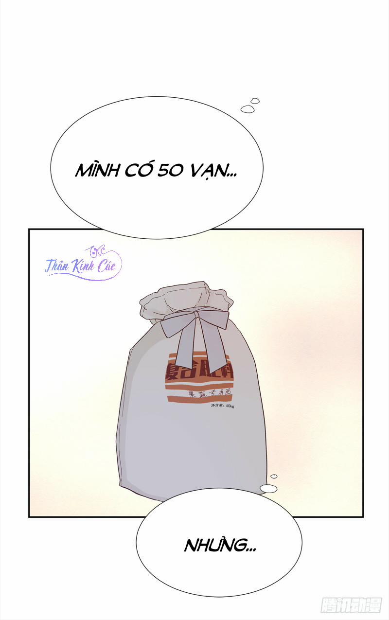 Mối Tình Đầu Gian Nan Của Chu Thành Nhất 28 trang 10