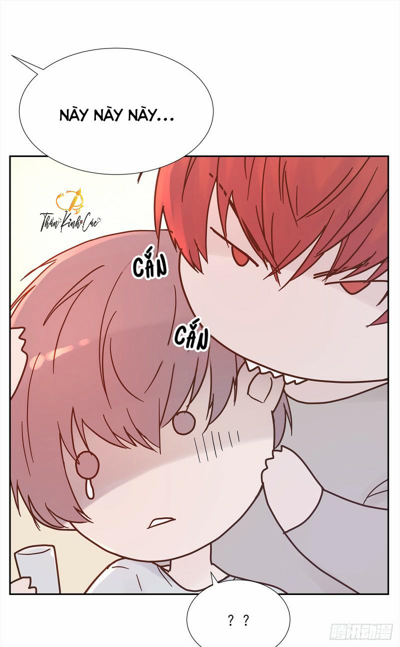 Mối Tình Đầu Gian Nan Của Chu Thành Nhất 30 trang 14