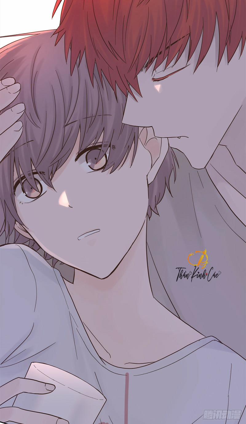 Mối Tình Đầu Gian Nan Của Chu Thành Nhất 30 trang 8