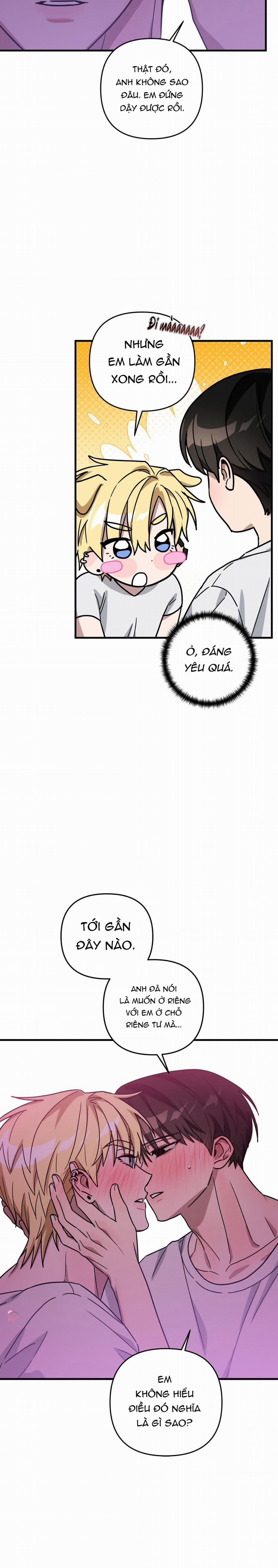 Mối Tình Lừa Đảo 17 trang 14