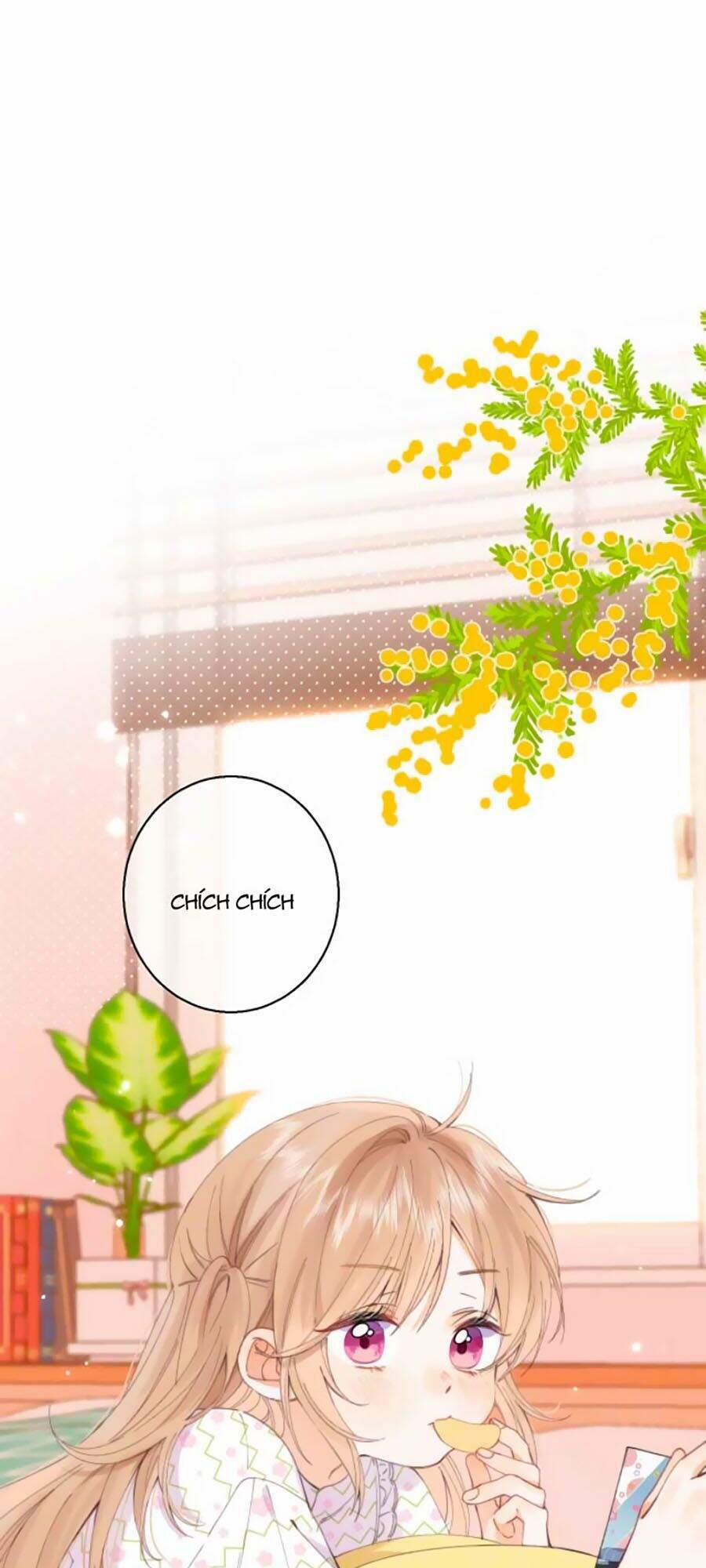 Mối Tình Thầm Kín 16 trang 0