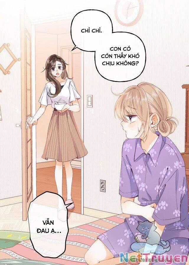 Mối Tình Thầm Kín 19 trang 3