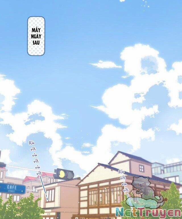 Mối Tình Thầm Kín 19 trang 8