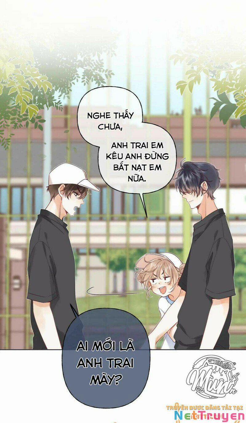 Mối Tình Thầm Kín 24 trang 3