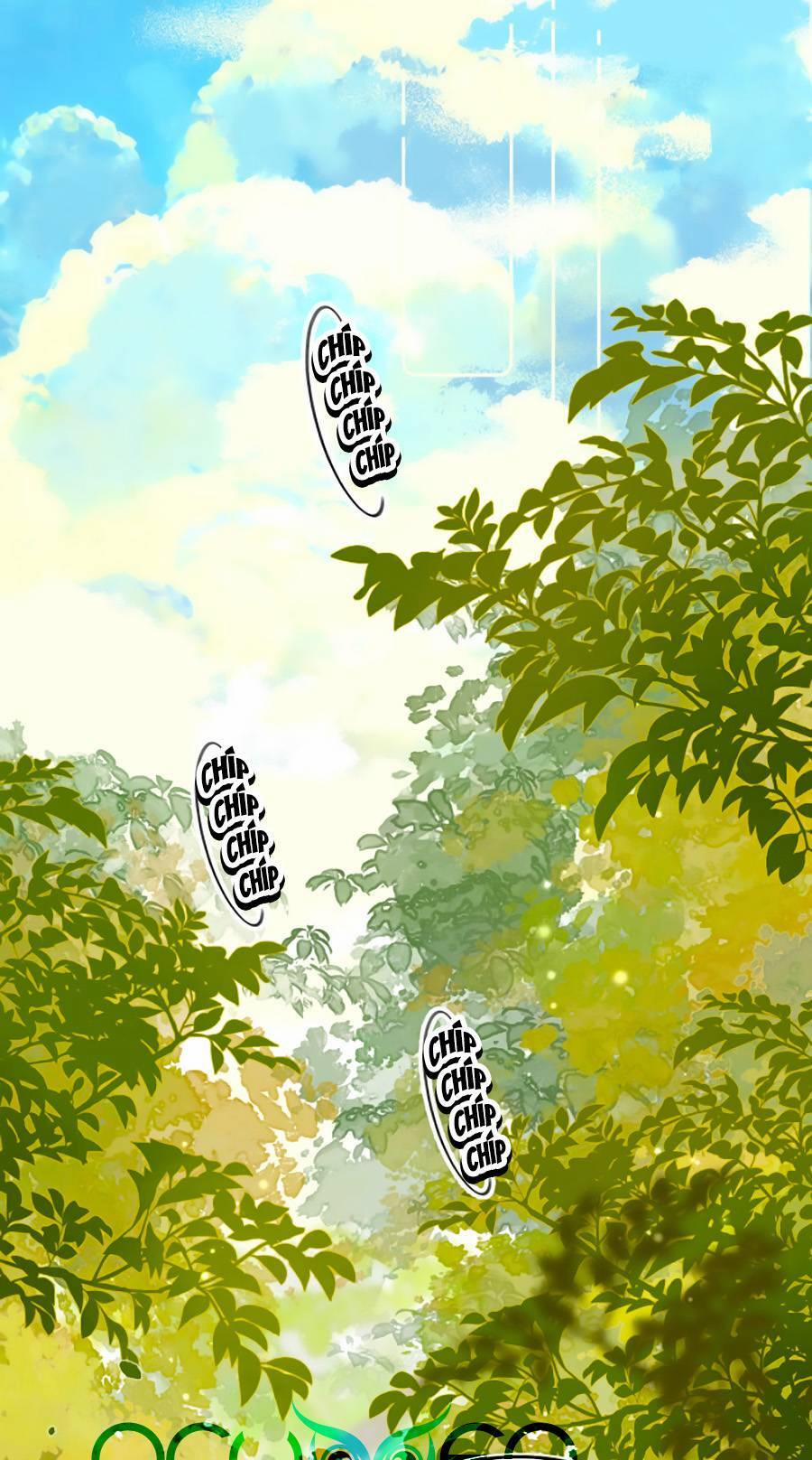 Mối Tình Thầm Kín 55.5 trang 1