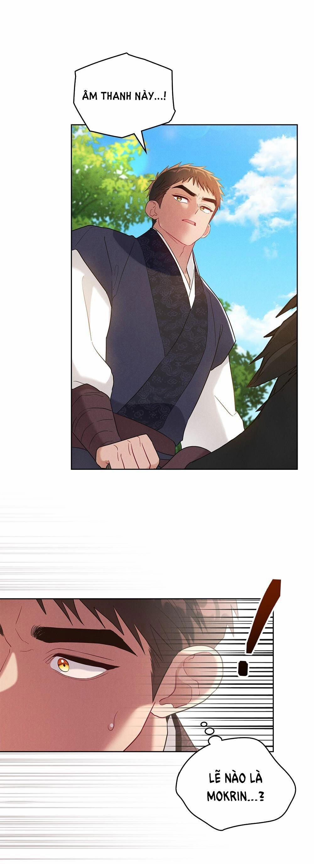 Mokrin 18.1 trang 11