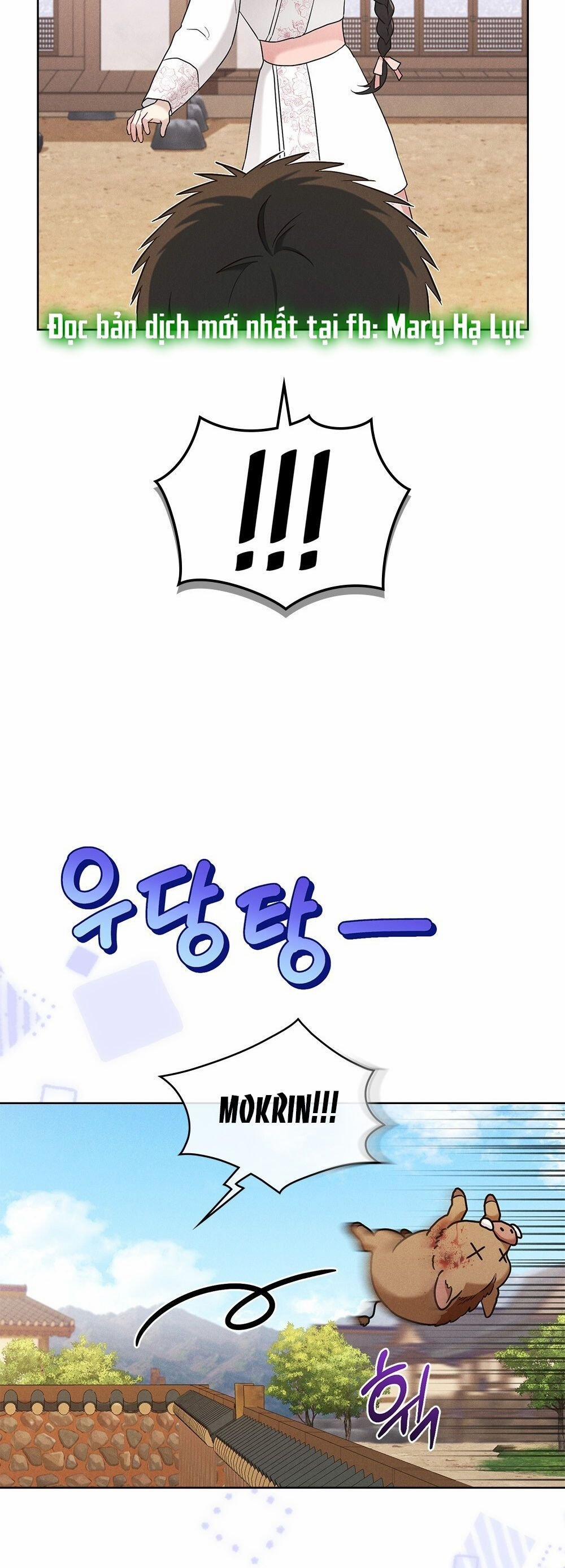 Mokrin 20.2 trang 11