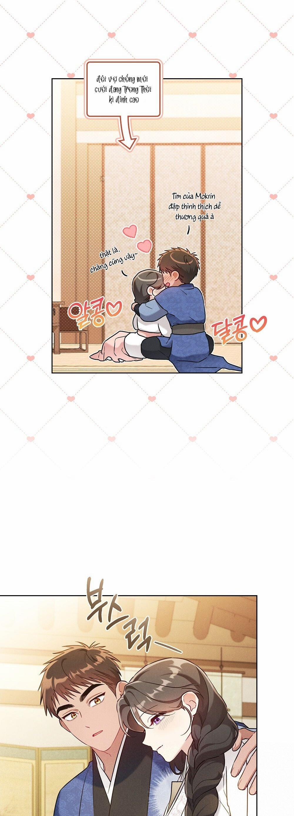 Mokrin 20.2 trang 13