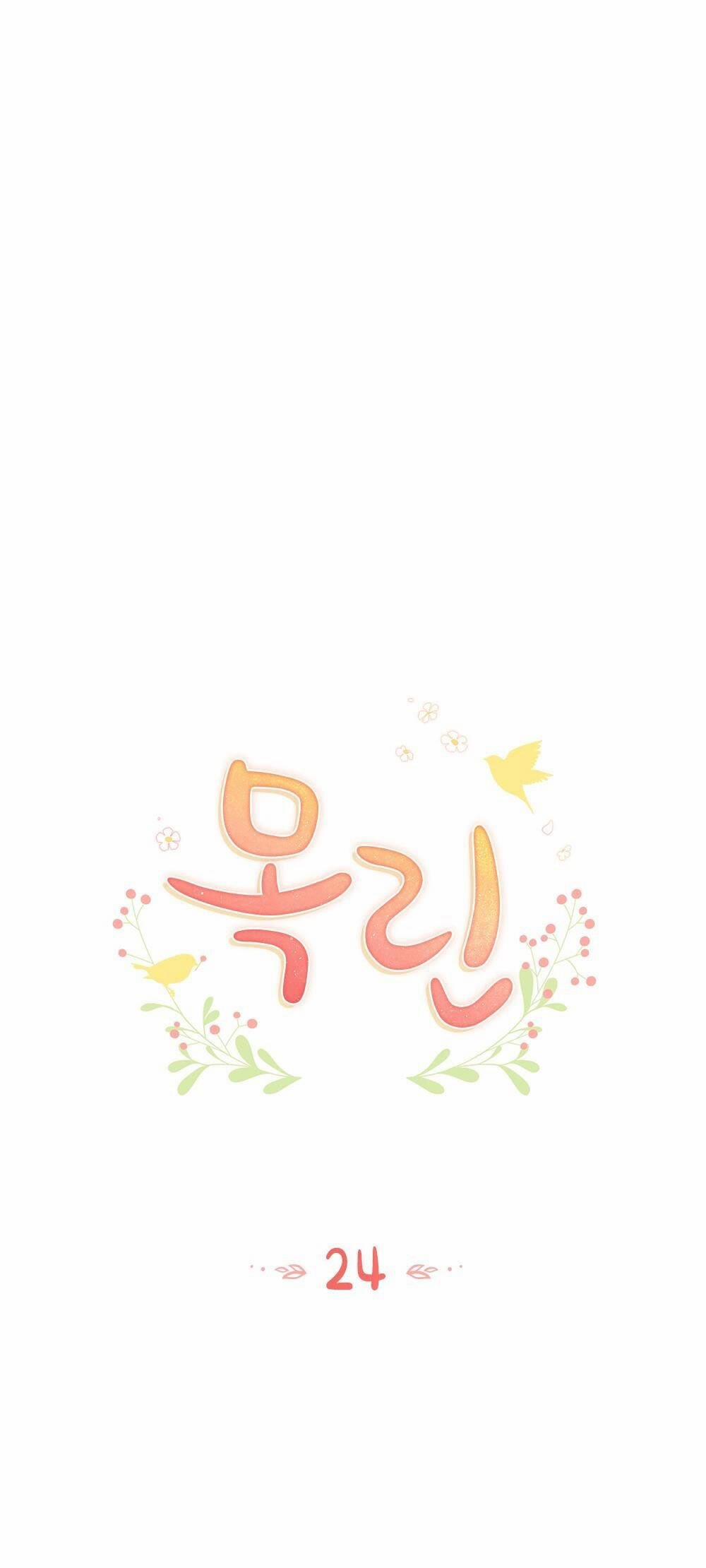 Mokrin 24.1 trang 13