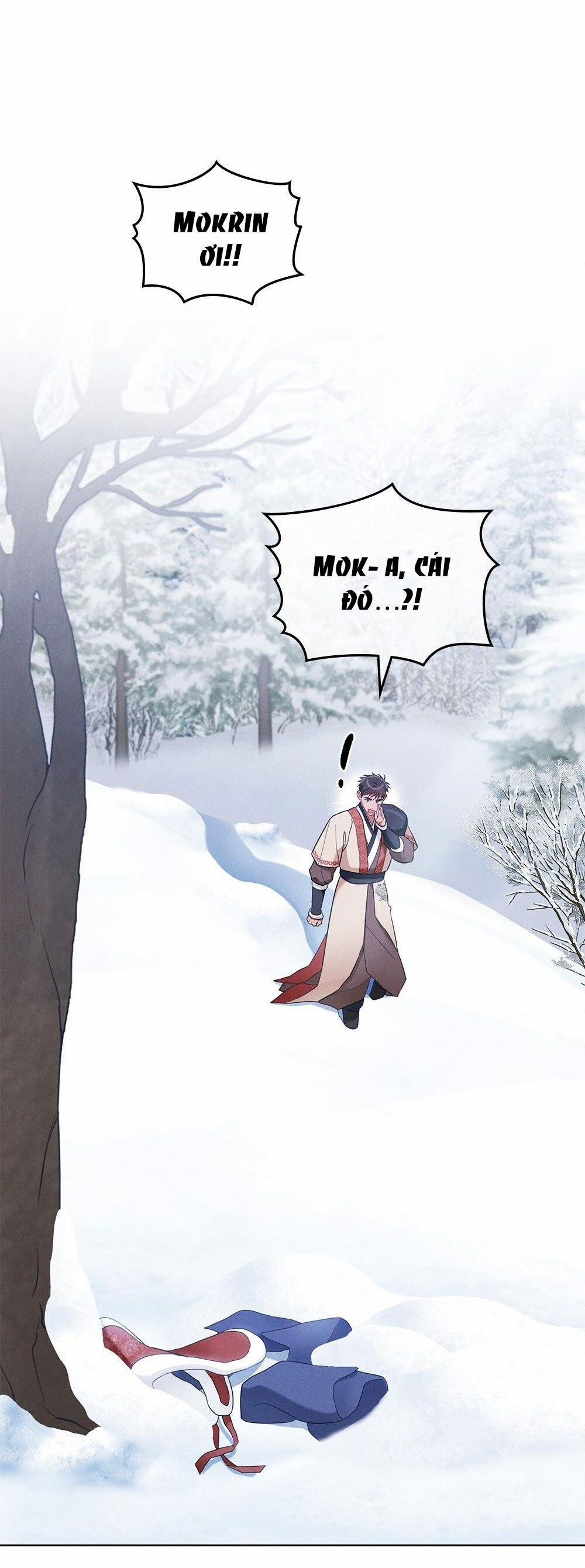 Mokrin 28.1 trang 5