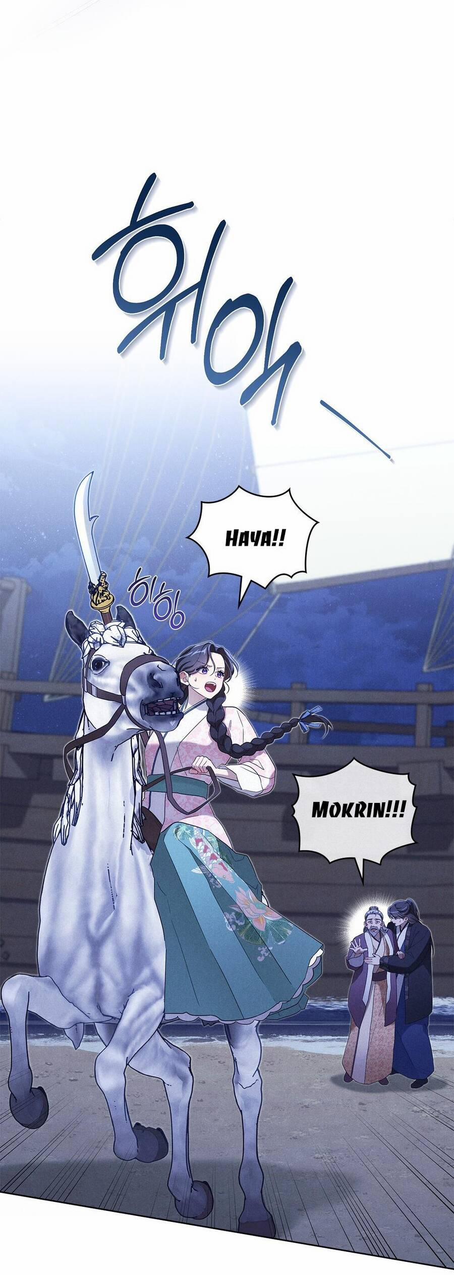 Mokrin 35.1 trang 11