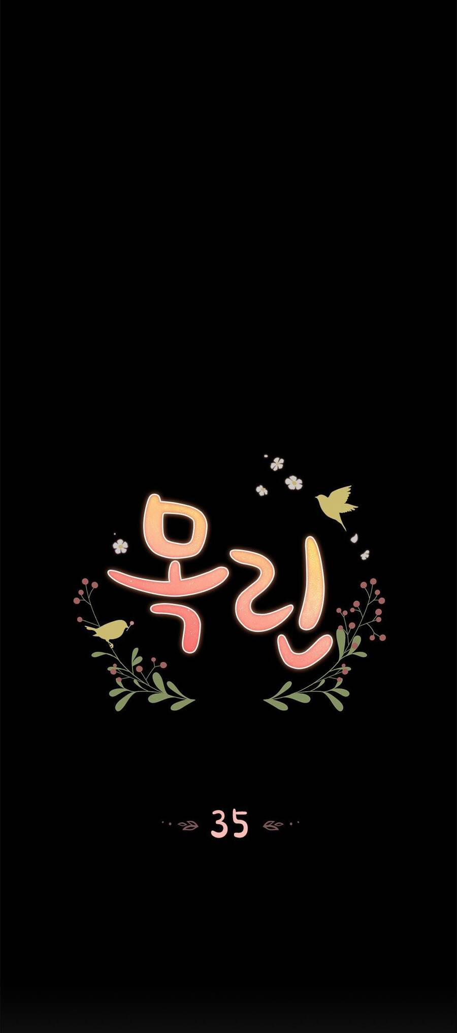 Mokrin 35.1 trang 14